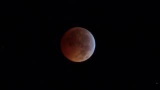 Winter Solstice Lunar Eclipse!!! (12.21.10)