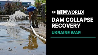 Ukraine's mammoth cleanup two weeks after the Nova Kakhovka dam collapse | The World