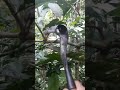 aktifitas di kebun