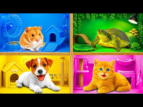 We Built a House For Pets