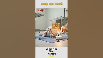 semoga cepat sembuh kucing ku 🥹🥹 #catlovers #catshorts #cat #catvideos