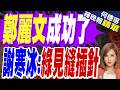 綠媒質疑國務院派「科室」層級? 鄭麗文稱見到該見的人 | 鄭麗文成功了 謝寒冰:綠見縫插針 | 介文汲.栗正傑.謝寒冰深度剖析【何橞瑢辣晚報】精華版@中天新聞CtiNews