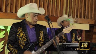 Video thumbnail of "Los Lumaquinos Alegres - Siempre Pierdo En El Amor (Video) #FiestasPatrias"