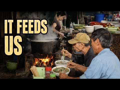 The Humble Market That Feeds Our Village | Rural Vietnam