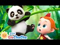 토실토실 귀여운 판다 + 동요모음 | 동물송 | 키즈 | 인기동요 | 리아차차 LiaChaCha