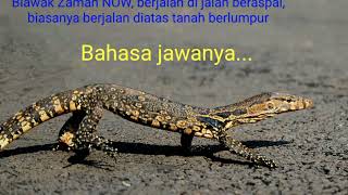 Kosa-Kata Versi Bahasa Jawa, Part VIII