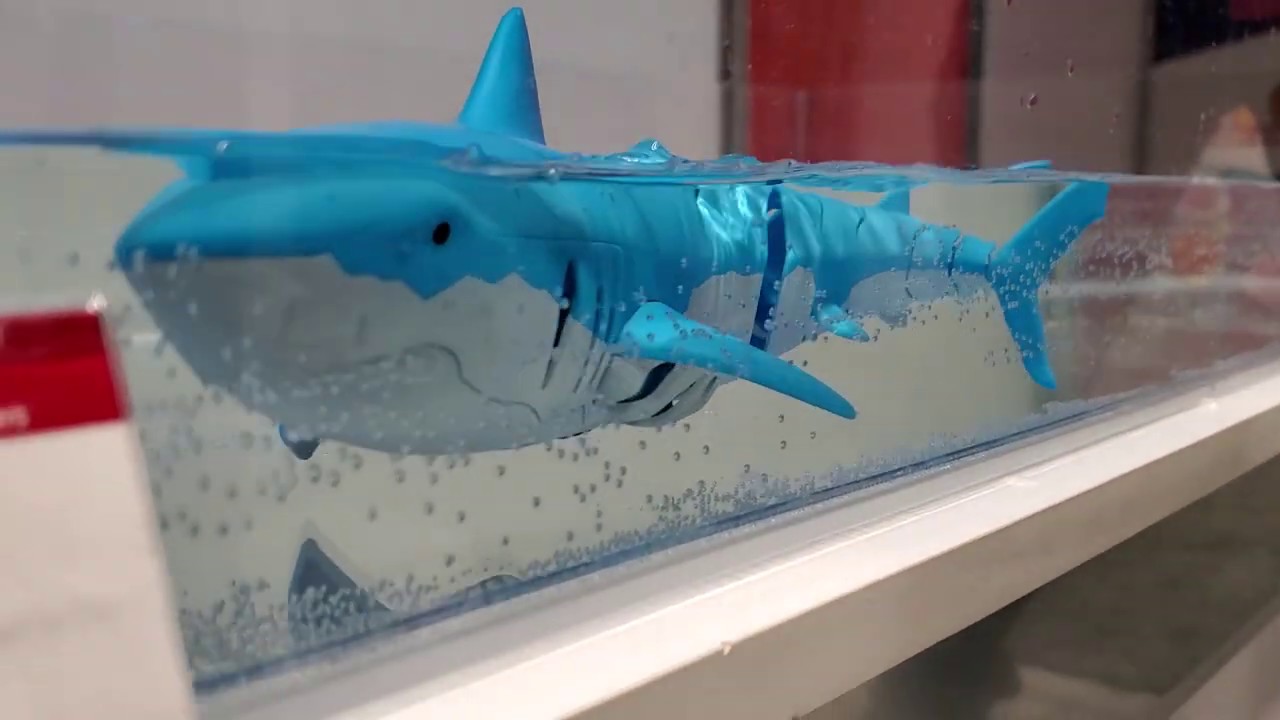 radio controlled shark