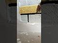 Brick wall texture#shorts #youtubeshorts #homepainting