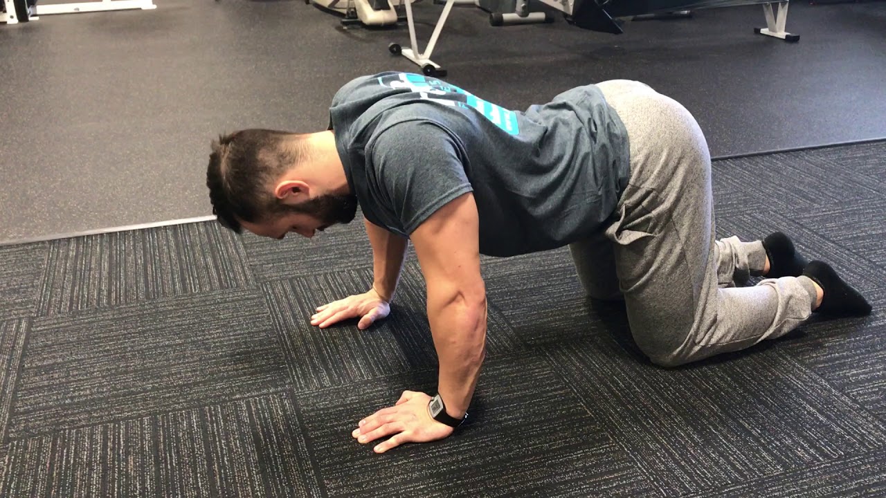 Thoracic Spine Mobility - Cat Cows - YouTube