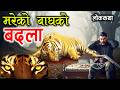 मरेको बाघको बदला [Mareko Bagh Ko Badala] Nepali Katha Kendra/Folk Talae Nepali
