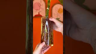 Chopped My Dieffenbachia Rooted It In Leca