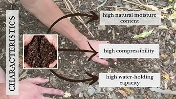 SBEQ4283 Report 1 Group 16 Site Analysis & Location Analysis