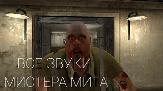 ВСЕ ЗВУКИ МИСТЕРА МИТА || Mr meat || Horror game #рекомендации #mrmeat #gaming #youtube #лучшее