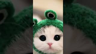 4 января 2026 г.