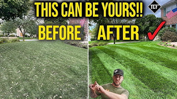 Lawn Overseeding guide 2022-Everything you need!