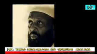 Obc-Akkas Jattee Qabsoon Oromoodha Walaleessan Abdata Adam