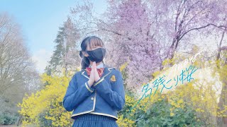 名残り桜 / AKB48 【踊ってみた】 ダンスカバー Dance cover【BonnieQ】