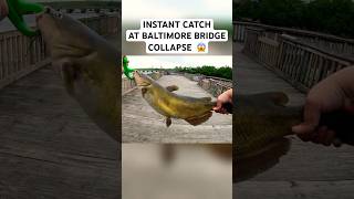 Fishing at the Baltimore bridge collapse! Instant bites!!! video on my channel #catfishing #fishing