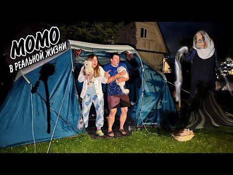 Видео: Момо в РЕАЛЬНОЙ жизни НОЧЬЮ в нашей трёхкомнатной палатке с котами и собакой