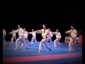 Moohwa taekwondo demo team 2012 