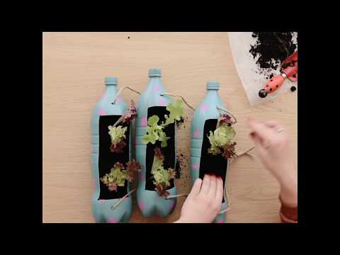 Video: Izrada papige od plastičnih boca