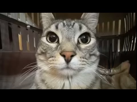 پرسش و پاسخ همه موارد فوق ویژه