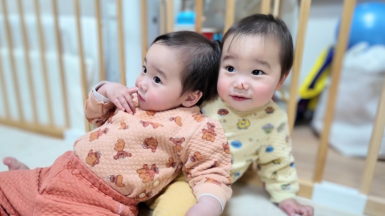 Twins who are just about 18 months old and have most of their