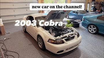 2003 SVT Cobra TONS of MODS Already!