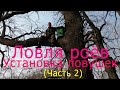 Ловля роев.  Установка ловушек.  Часть 2