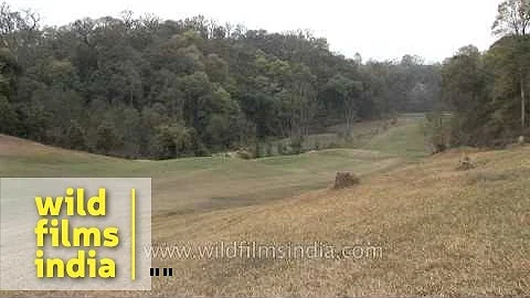Golf Course, Kathmandu, Nepal