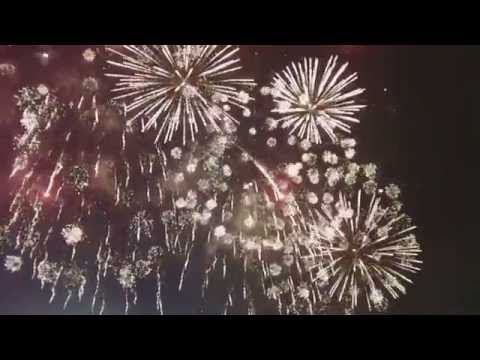 2011高雄市燈會煙火.