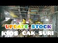 update stock di kios cak suri, Rabu, 20 Juli 2022 Pasar burung pramuka jakarta timur @suri kicau