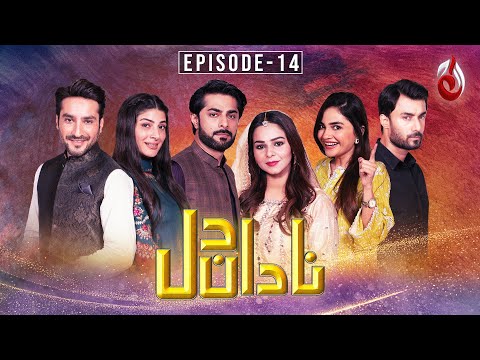 Nadan Dil | Episode 14 | Aaj Entertainment