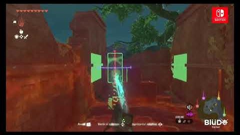 Zelda TOTK Korok Puzzle At Sage Temple Ruin