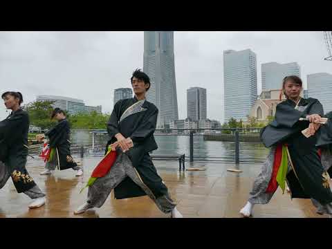 伊澤屋（2017横浜よさこい）