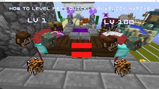 How to Quickly Level Up Pets Skyblock Hypixel