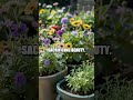 A Quiet Yard Transformation Tale
