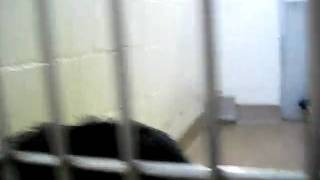 MVI_5478.AVI