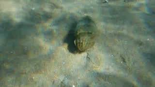 DSCF3947