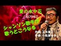 「愛の水中花」 字幕付きカバー 1979年 五木寛之作詞 小松原まさし作曲 松坂慶子 若林ケン 昭和歌謡シアター ~たまに平成の歌~