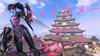 widow main