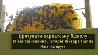 Врятувати карпатську бджолу. Місія здійсненна. Історія Віктора Паппа. Частина друга.