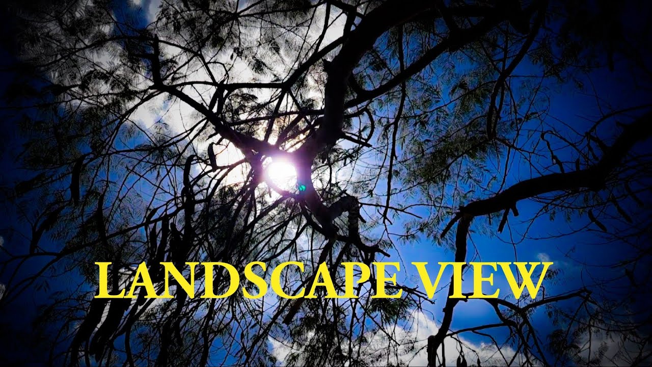 Landscape view