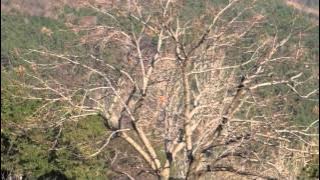 Abide with me (Patti Page)