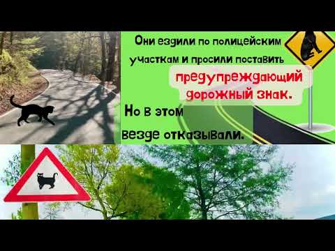 Михаил Самарский «На качелях между холмами» : буктрейлер
