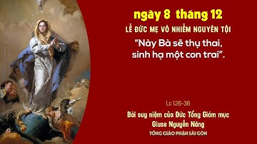 Suy niệm Tin mừng: Lễ Đức Mẹ Vô nhiễm Nguyên tội - ĐTGM Giuse Nguyễn Năng
