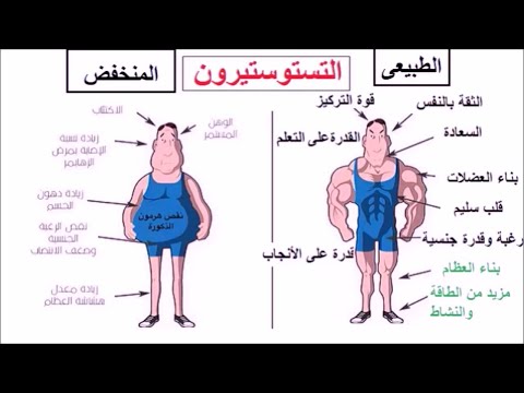زيادة هرمون التستستيروون طبيعيا