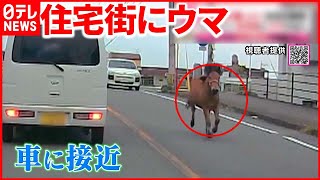 【驚き】なぜ？ 道路を