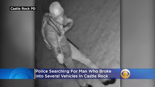 Photos Show Vehicle Break-In Suspect At Work In Castle Rock