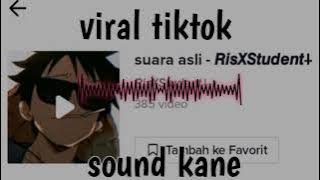 DJ VIRAL TIKTOK TERBARU 2022 KANE /SUARA ASLI RISXSTUDENT#fyp#djviral #fyptiktok #presetam